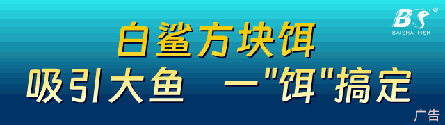 用好这三款饵料 天再冷鱼儿照开口
