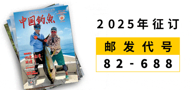 用好这三款饵料 天再冷鱼儿照开口